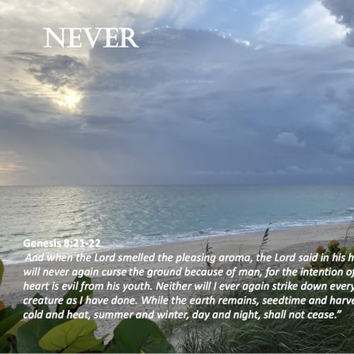 Episode 121: Promise #121 - Never