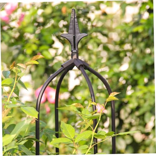Soporte para plantas de hierro forjado con estructura de obelisco 5