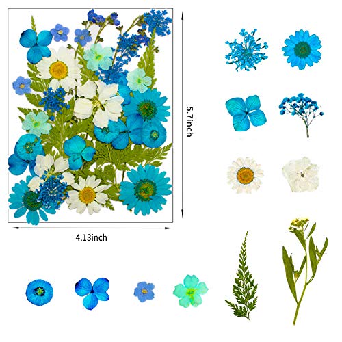 image for NLUS 120 PCS Dried Flowers for Resin with Tweezers Multiple Colorful R