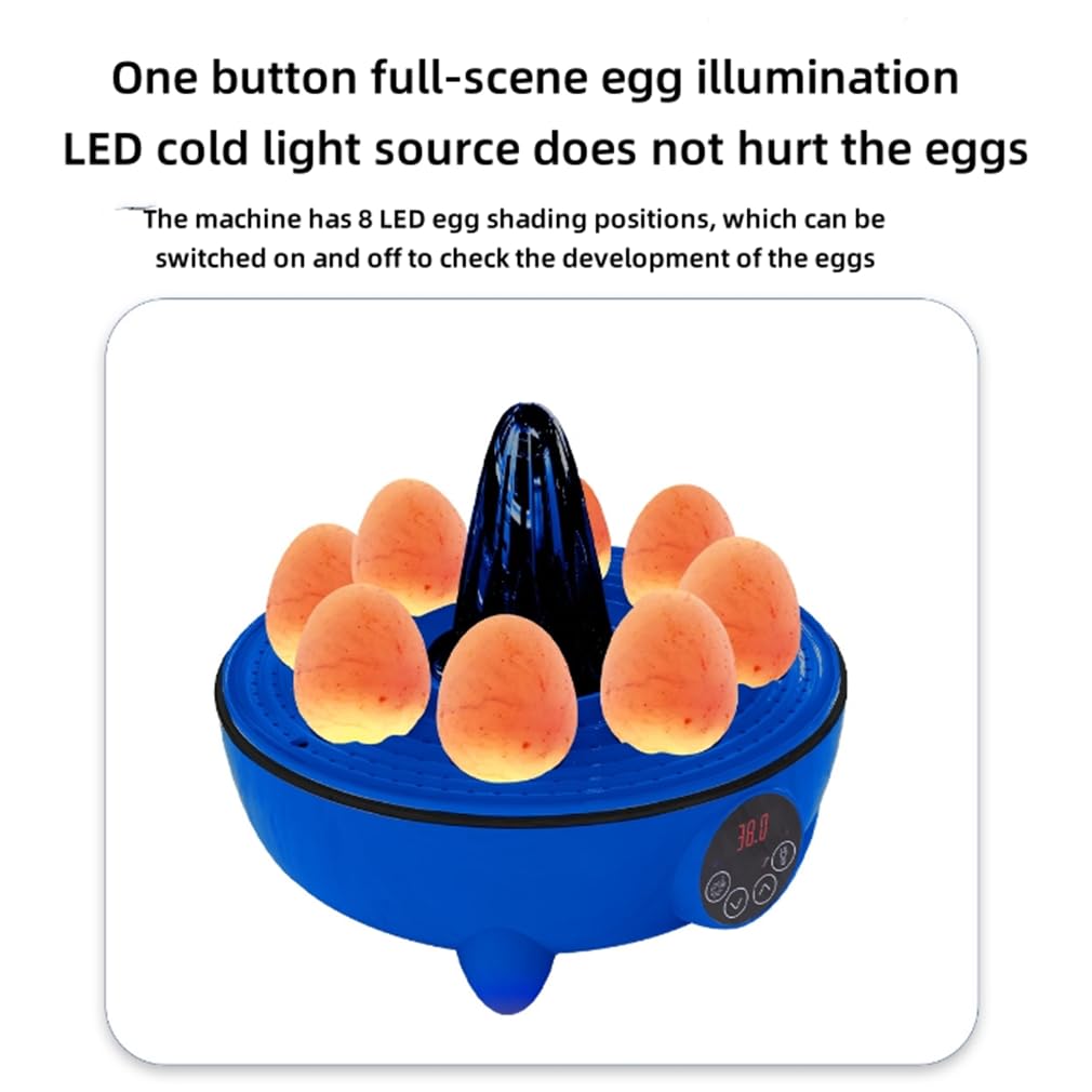 Incubadora De 8 Huevos, Incubadora De Huevos con Volteo Automático Y Control De Humedad, Incubadora Digital De Huevos De Gallina, para Pato Ganso Codorniz Loro Pavo