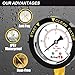 AetralYB Pool Filter Pressure Gauge - 304 Stainless Steel Case, IP67 Waterproof, 0-60 PSI, for Swimming Pool Pump, Spa & Aquarium Filter System, Clean Filter Indicator, 2