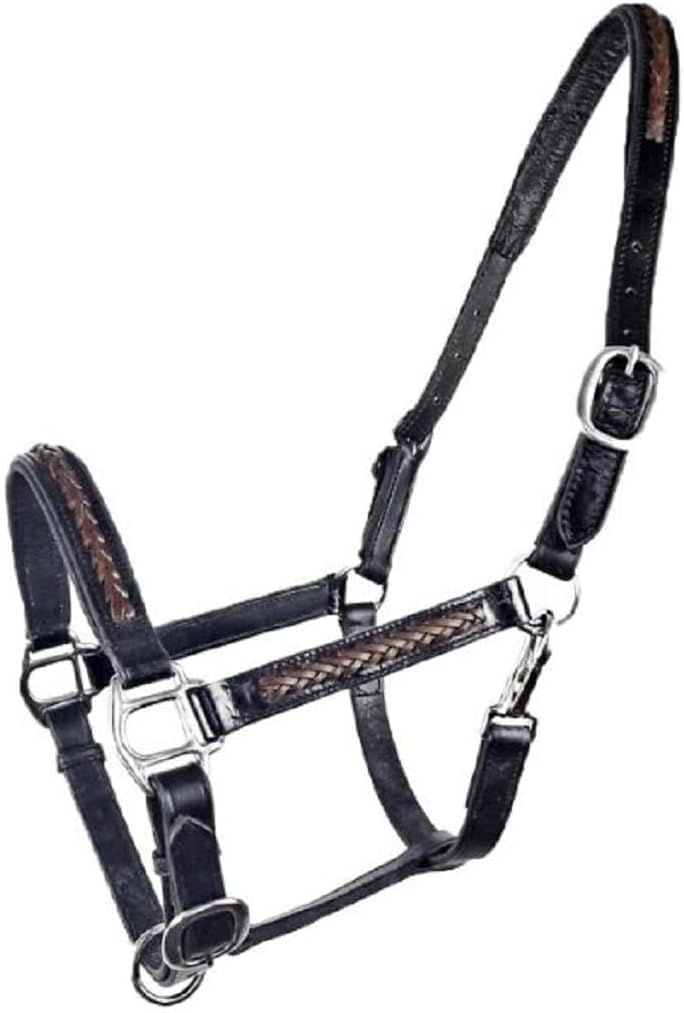 Brama West Halfter Pferd Meadow Leder Halfter (Pony)
