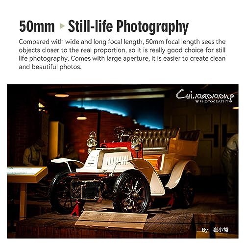 Ficha técnica TTArtisan 50mm F0.95 APSH Lente de Retrato Manual de Gran Apertura para Cámaras Leica M-Mount - Fernando Cortés