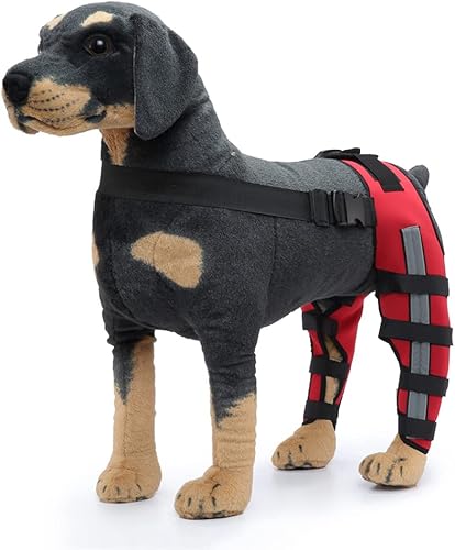 Rodillera ajustable para perro con doble pierna trasera con bisagras de metal soporte flexible y cinturones de seguridad reflectantes, soporte para