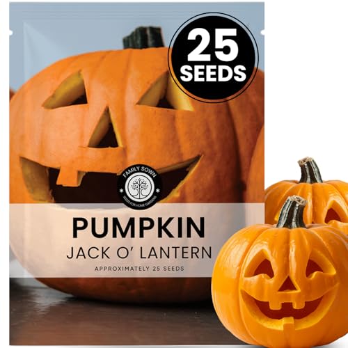 Jack-O’-Lantern Pumpkin Seeds – 25 Premium Seeds for Planting – Classic Carving & Fall Harvest...