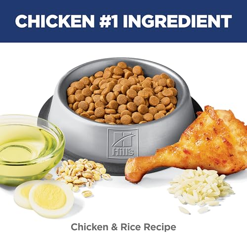 Hill's Science Diet Adult Sensitive Stomach & Skin Chicken & Rice Recipe Dry Cat Food 1.58 kg Bag image 8