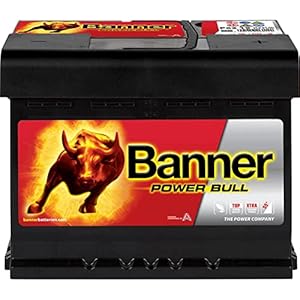 Banner P6219 Power Bull 027 Power Bull Calcium Spill & Backfire Protected Battery