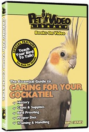 COCKATIEL ! Video: Train Your Bird to Talk