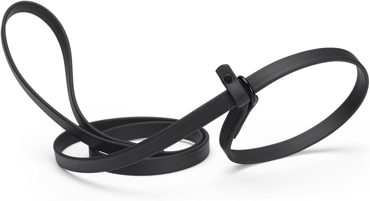 Dogline Biothane Slip Dog Leash - for Small, Medium and Large Dogs - Odor Free Slip Lead, Heavy Duty and Durable Material Kennel Lead - Black - 5ft L x 3/8in W