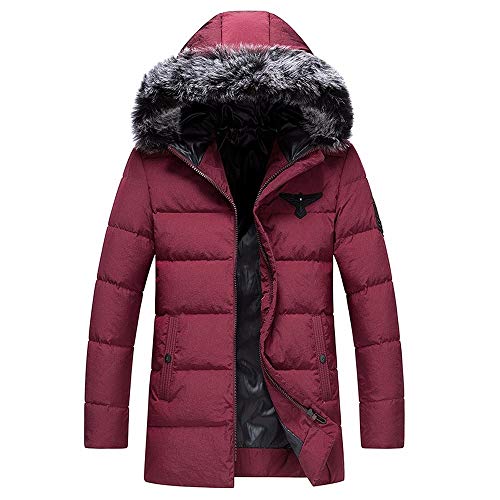 Veste en duvets de canard blanc doudoune capuche homme