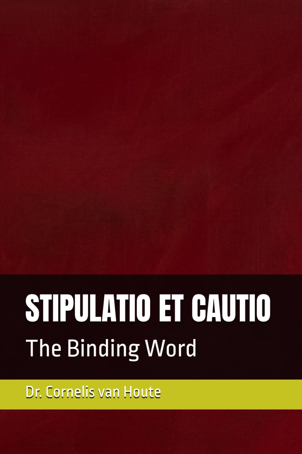 STIPULATIO ET CAUTIO: The Binding Word: 8 (Roman Law Series)
