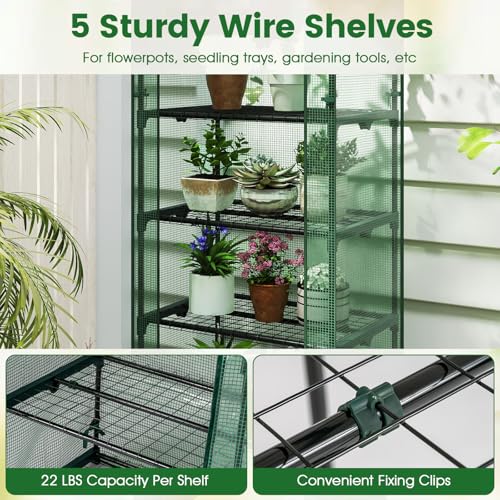 Giantex Mini Greenhouse Indoor Outdoor, 27" x 19" x 75" Portable Plant Grow House with 5 Tier Shelves, PE Cover, Roll-Up Zipper Door, Rustproof Elector-Coating Metal Frame for Patio Balcony Garden - Image 4