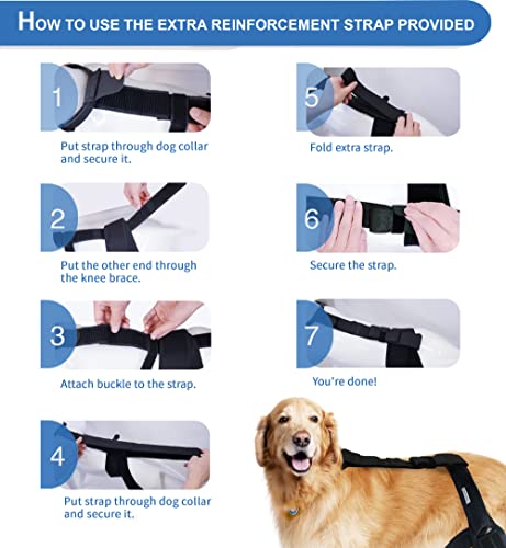 Image of Dog Knee Brace for Hind and Rear Leg, Support for Dog Ligament Injury Joint Pain, Size Large