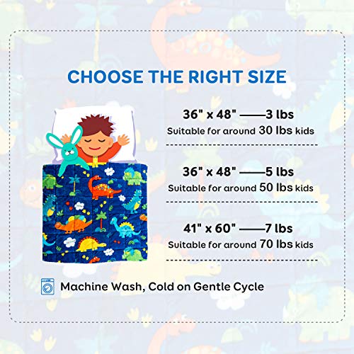 Sivio Kids Sherpa Fleece Weighted Blanket, 5Lbs Blue Dinosaur, Ultra Soft And Cozy Heavy Blanket, Great For Calming And Sleep, Fall And Winter Sherpa Flannel Weighted Blanket For Child, 36X48 Inch #TOP6