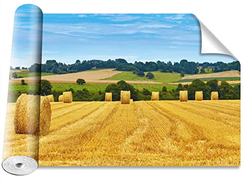 Papier Peint Foins 416x254cm Tulup Décoration Murale Maison Moderne Bricolage - 2