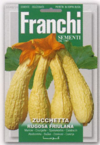 【FRANCHI社種子】【146/54】イボイボズッキーニ rugosa friulana