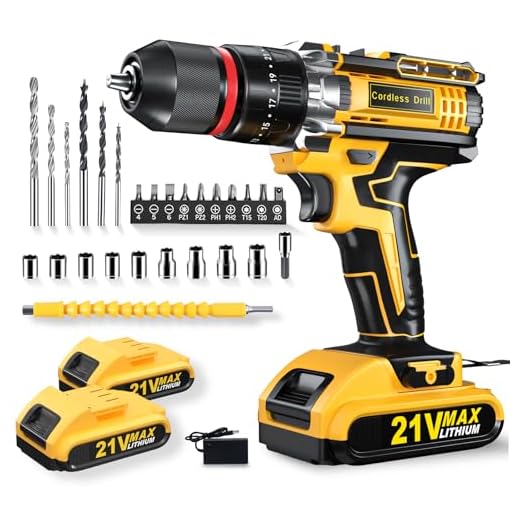 21V Cordless Hammer Drill and Screwdriver Set