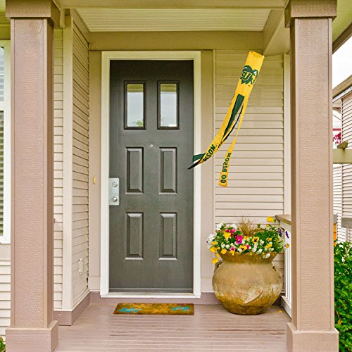 College Flags & Banners Co. North Dakota State Bison Windsock