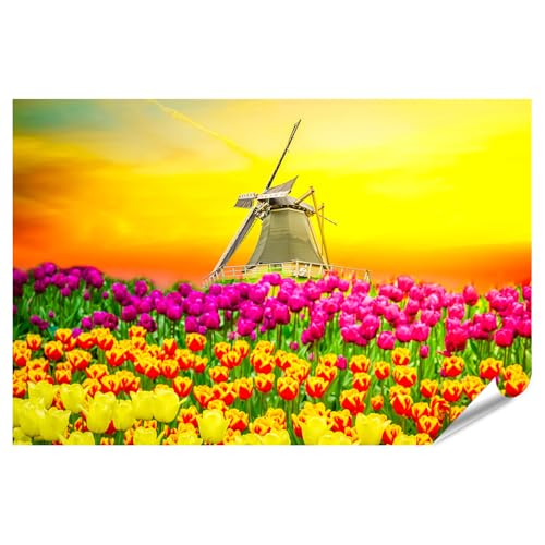islandburner Poster XXL - Motif tulipes multicolores et moulin à vent au coucher du soleil - Impression photo de qualité supérieure