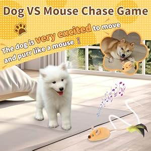   Interactive-Dog-Toys-with-LED-Lights-Moving-Automatic-Chirping-Mouse-Toy-Squeaky-with-Feather-Tail-for-All-Breeds-Dog-IndoorOutdoor-Boredom-Exercise-USB-Rechargeable-Yellow