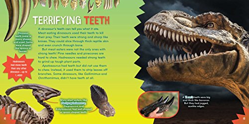 Dino-mite! (7) (Science with Stuff) - Image 4