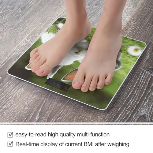 Báscula digital para baño con pantalla LCD y diseño de conejitos miniatura 5