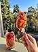 I Love Chamoy Sauce - Sugar Free Chamoy Sauce for Fruit - Perfect for Adding a Tangy Twist to Your Favorite Snacks and Dishes - Authentic Mexican Chamoy Flavor - 12 oz Bottle