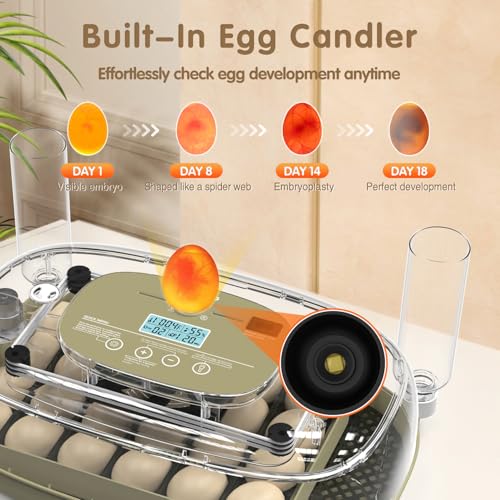 Incubators for Hatching Eggs Egg Incubator 24 Eggs Chicken 360° Egg Candler Viewing for Chicken, Ducks, Goose, Pigeon, Quail by WONEGG - Image 5