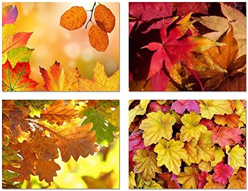 Small World Greetings Congratulations Cards 24 Count- Blank Inside - View #4