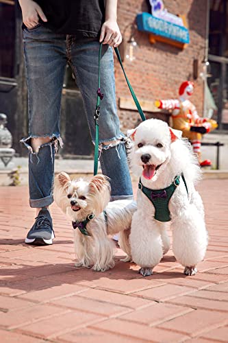 No Pull Small Dog Harness with Multifunction Dog Leash,Lightweight Soft Adjustable No Choke Escape Proof Pet Harness Vest Pet Harness Vest,Plaid Blue,S - Image 4