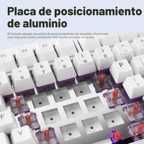 Teclado mecánico TK75 RGB inalámbrico para un escritorio ordenado y minimalista 5