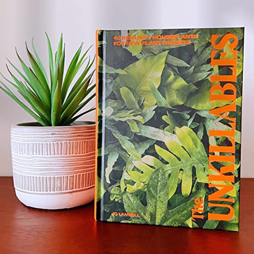 The Unkillables: 40 resilient house plants for new plant parents image 4