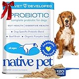 Native Pet Probiotics for Dogs - Dog Probiotics Powder for Digestive Health, Gut Support, & Immune Boost – Vet-Formulated Powder for Maximum Potency with Digestive Enzymes & Prebiotics - 120 Scoops