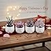 Tiita Purple Artificial Faux Succulents in Pots, Mini Purple Fake Plants for Women Desk, Small Realistic Faux Succulents for Home Office Accessories Window Sill Bathroom Bedroom 4 Set