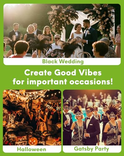 NEWONG 30pcs Black Ostrich Feathers Natural Bulk 9-12inch(23-30cm) Vase Craft Wedding Home Party Centerpieces Christmas Day Decoration - Image 4