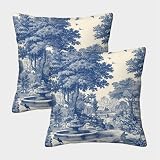 NGGADIWEG 3D, Imprimé Toile De Jouy Taies d'oreiller Doux Décoratif Carré Coussin Cover Lot De 2 pour Canapé Chambre À Coucher Salon Maison 40x40cm
