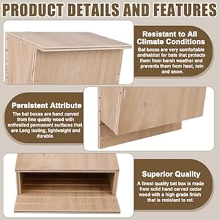 Outdoors - Nichoir pour chauve-souris - 24 x 8,3 x 9,9 cm - Résistant aux intempéries - Grand abri pour chauves-souris - En bois - Kit de construction - Hôtel à chauve-souris - Quartier d'été et