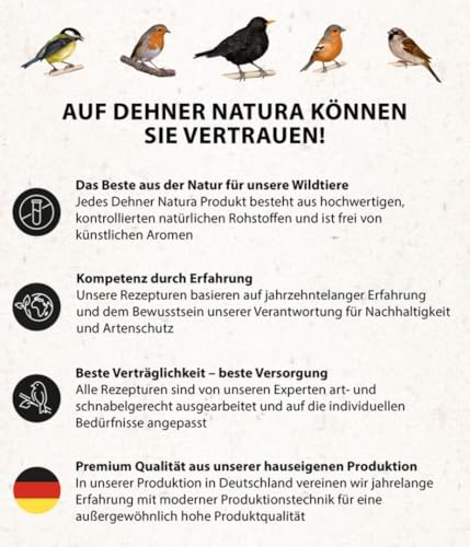 Dehner Natura Premium Meisenknödel ohne Netz, Insektenknödel, ganzjähriges Wildvogelfutter proteinreich / energiereich, im Eimer, 100 Stück je 90 g (9 kg)