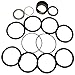 RAParts Fits Case 1543276C1 Hydraulic Cylinder Seal KIT