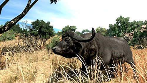 Image of Cabela's Big Game Hunter '10 - Playstation 3 (Game Only) (Renewed)