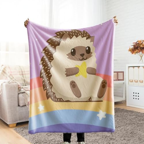 ѕz VO ӂӂ uPbg blanket for winter G| ͂˂ݕ ~ Ƃӂ blanket for all season Ђ| ~p  Ódh~ y ΍ Ȃ߂炩 lGKp