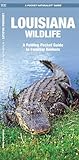 Louisiana Wildlife: A Folding Pocket Guide to Familiar Animals (Wildlife and Nature Identification)