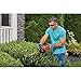 BLACK+DECKER Electric Hedge Trimmer, 16-Inch (BEHT100)