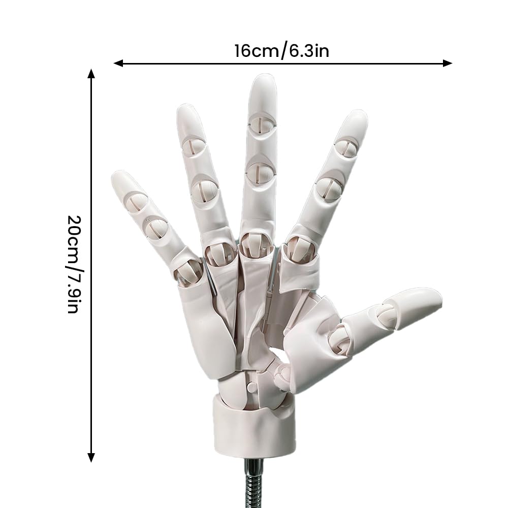 1:1 Flexible Right Hand Model, Joints Moveable Artists Manikin Hand Figure for Arts Drawing Sketching Painting Jewelry Display (White, one Size)
