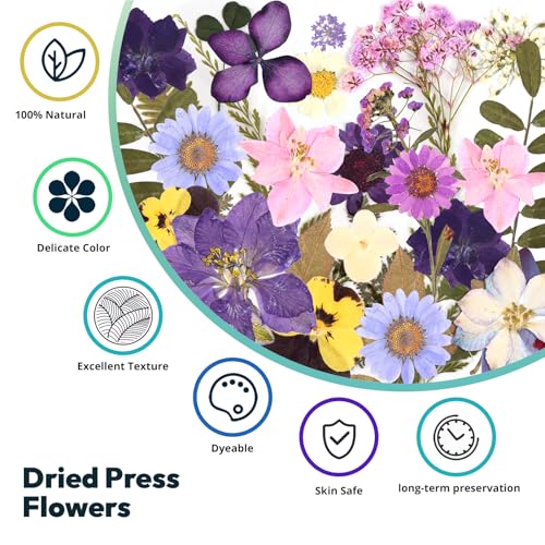 Lámpara UV Recargable 58 Flores Secas para Resina miniatura 3