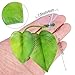 Boao 4 Pieces Betta Fish Tank Accessories Betta Leaf Hammock Pad Simulating The Natural Habitat for Tank Aquarium Spawning Grounds Breeding Resting Bed(Double Leaf)