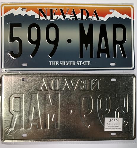 - Satz mit 10 amerikanischen Autokennzeichen aus Metall - Repliken echter US-Kennzeichen - V1C