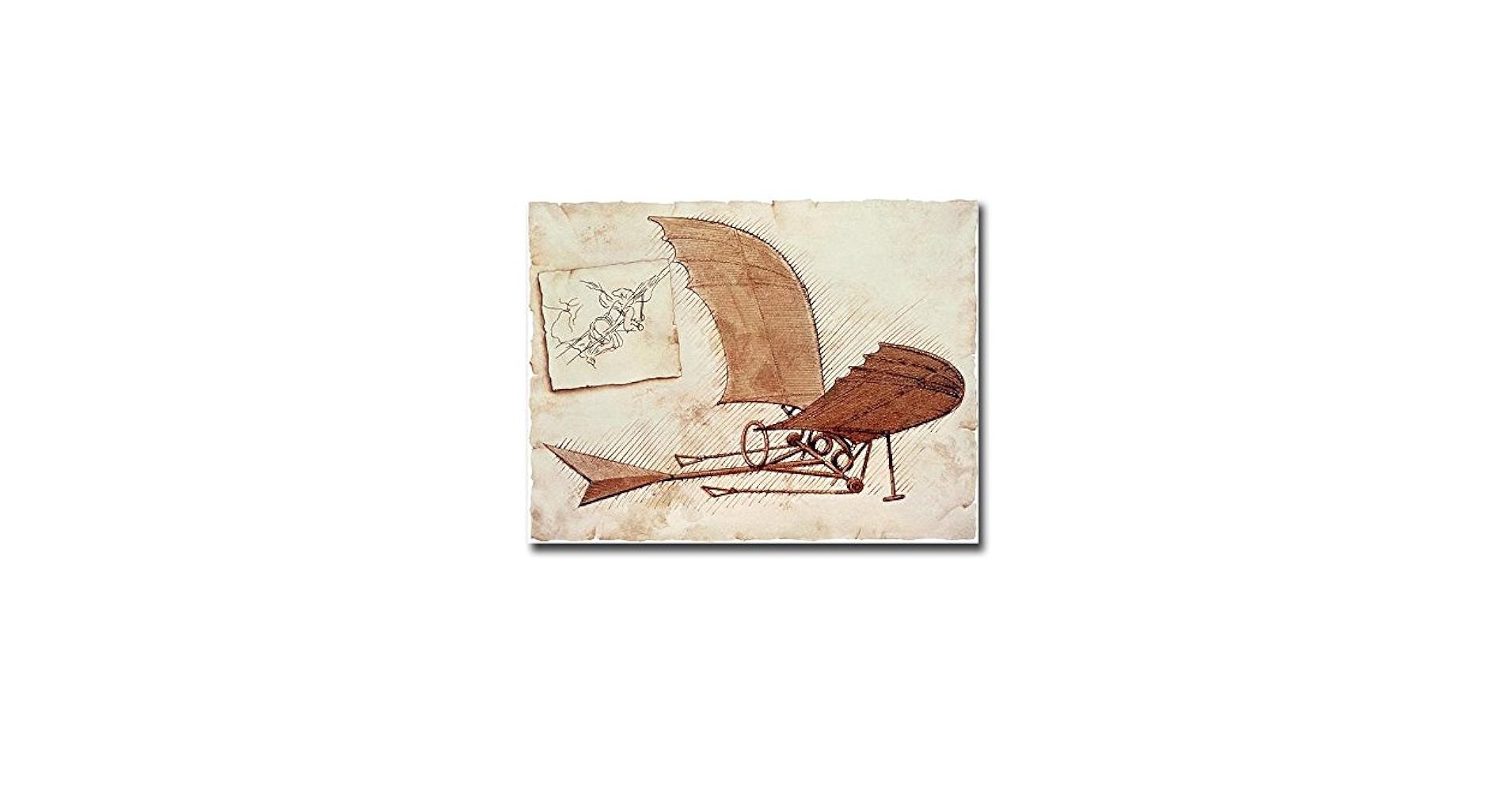 Leonardo da Vinci’s FLYING MACHINES Leonardo da Vinci's flying machine — Science Learning Hub