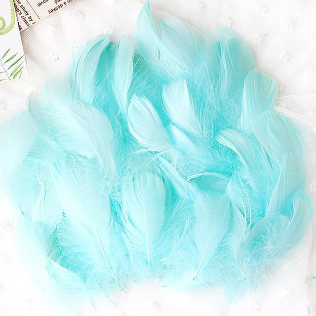 ТоуPRO - Natural Colourful DIY Feather Floating Feather Craft Тоу Creative DIY Material Fluffy Decoration Natural Animal Feather (E from UAE)