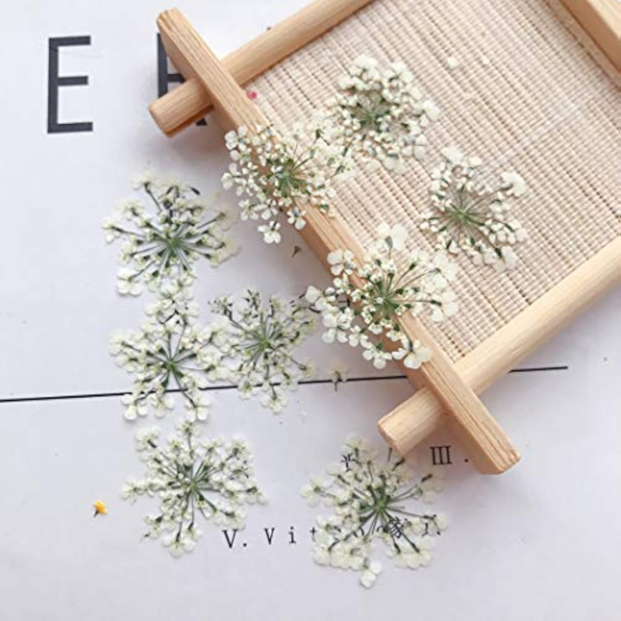 60PCS Real Dried Flower Creative DIY Pressed Flower Kit
